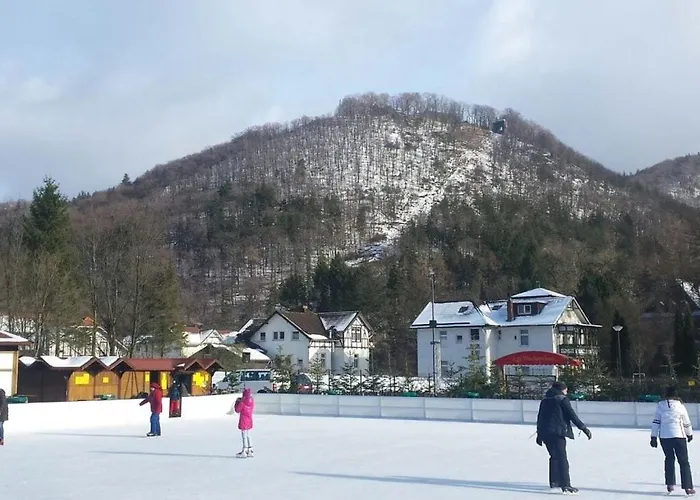 Lejlighed Florentine Bad Harzburg